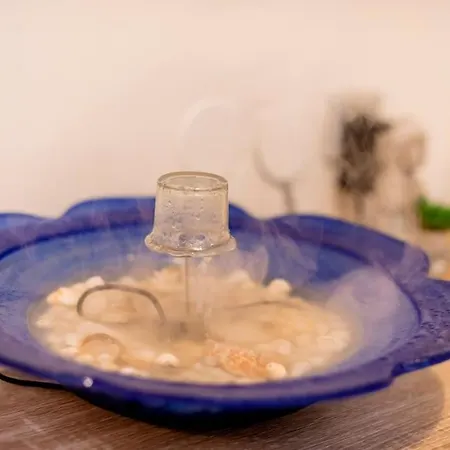 度假居 Louis House