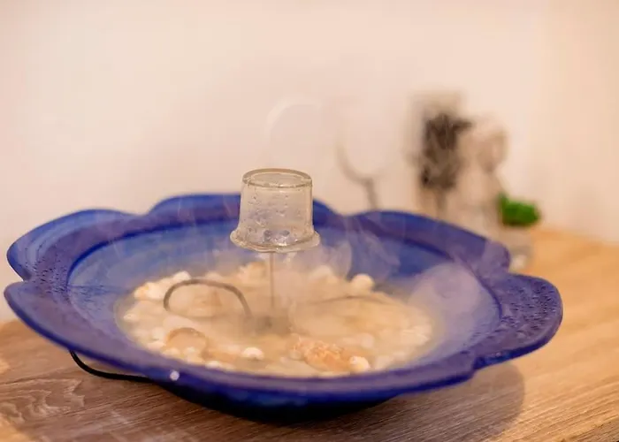 Tatil Evi Louis House