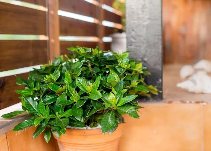 Louis House Tatil Evi Rhodes City