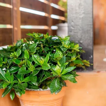 Louis House Holiday home Rhodes City