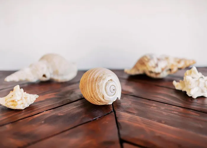 Louis House Vakantiehuis